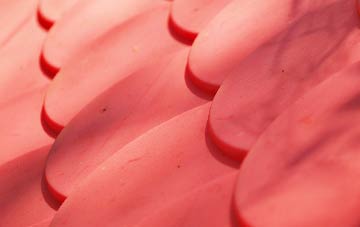 Sleet Moor plastic roof costs