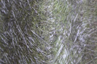 Sleet Moor fibreglass roof work